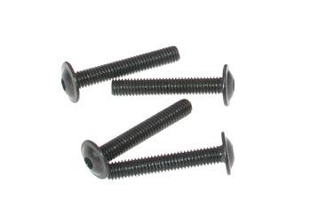 Screw-flanged M4 x 25 hex (4) (SER1019) - DISCONTINUED