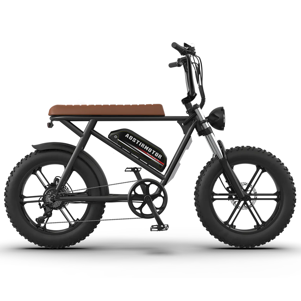 Super Cool New Model Electric Bike Storm 48V 750W