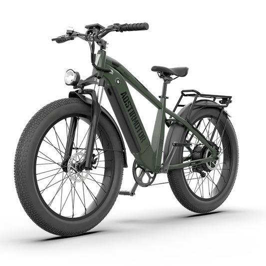 52V All-terrain Electric Bike King 1000W