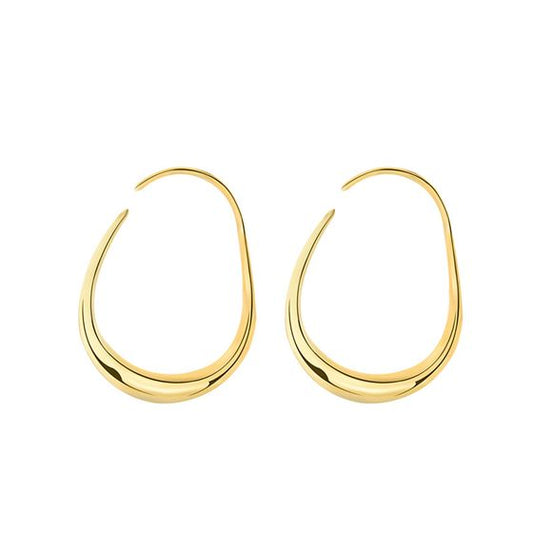 Geometry Hollow Circle Irregular 925 Sterling Silver Hoop Earrings