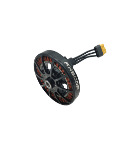 Goosky RS4 Brushless Motor